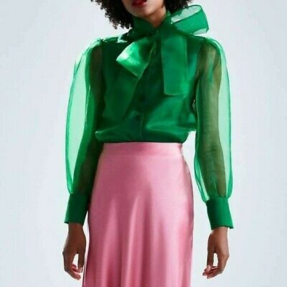 Zara Organza Top - Picture 3 of 4